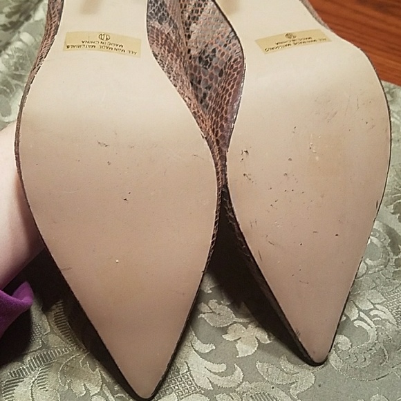 Snake Print Point Toe Heels - Picture 8 of 8